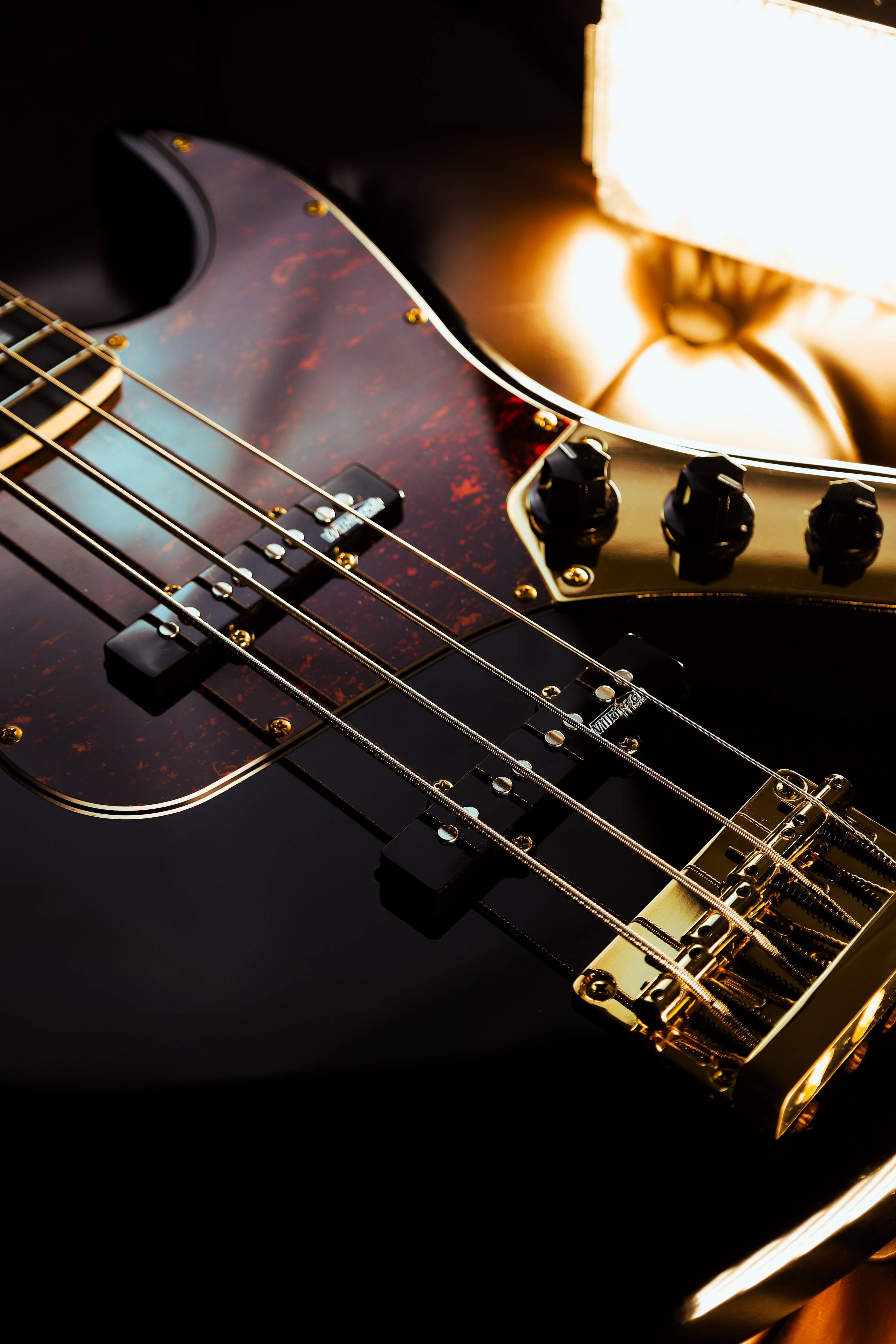 Lifestyle Hardy Bass - J 4 C